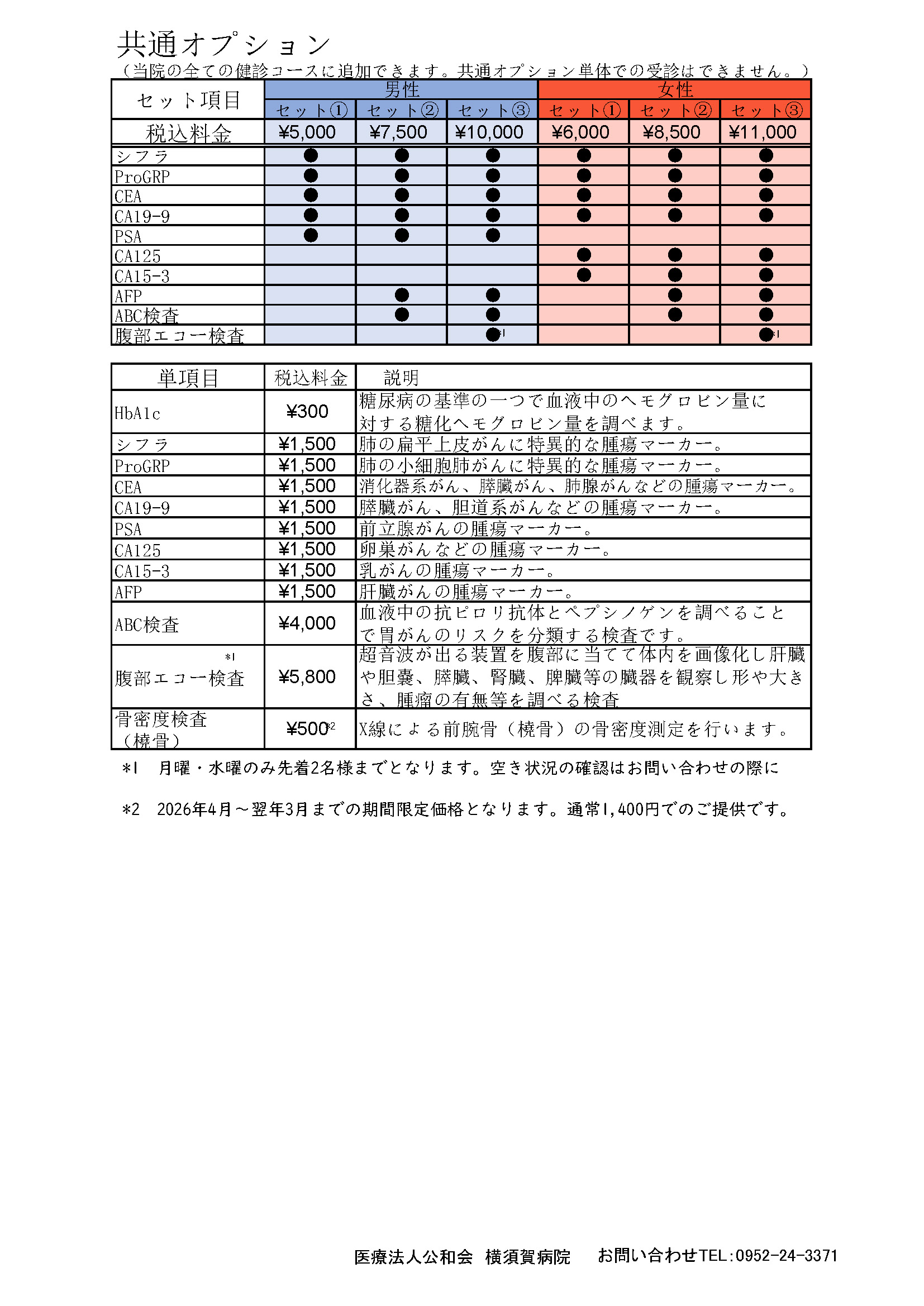 共通オプション